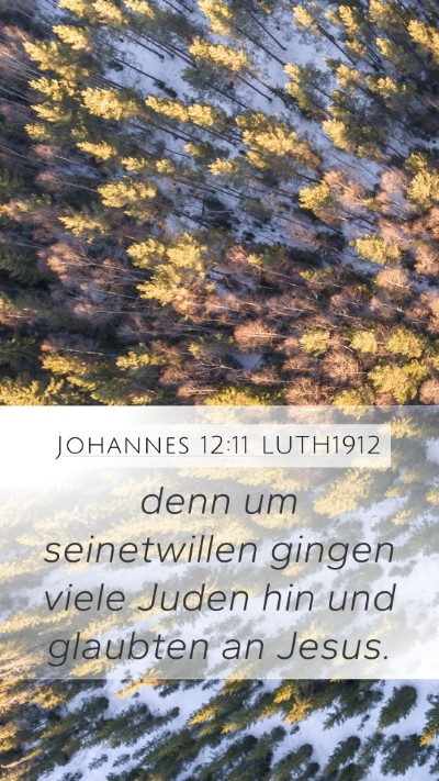 Johannes 12:11 LUTH1912 Mobile Phone Wallpaper - denn um seinetwillen gingen viele Juden hin und - Mobile Bible Verse Wallpaper
