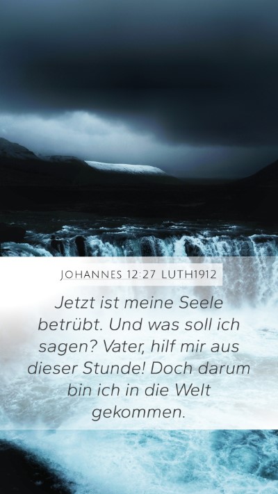 Johannes 12:27 LUTH1912 Bible Verse Image