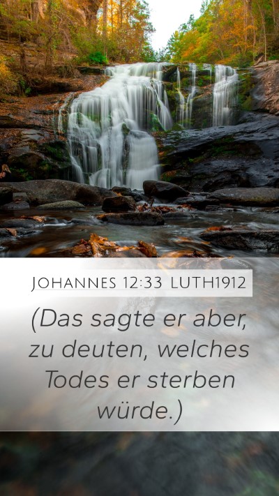 Johannes 12:33 LUTH1912 Bible Verse Image