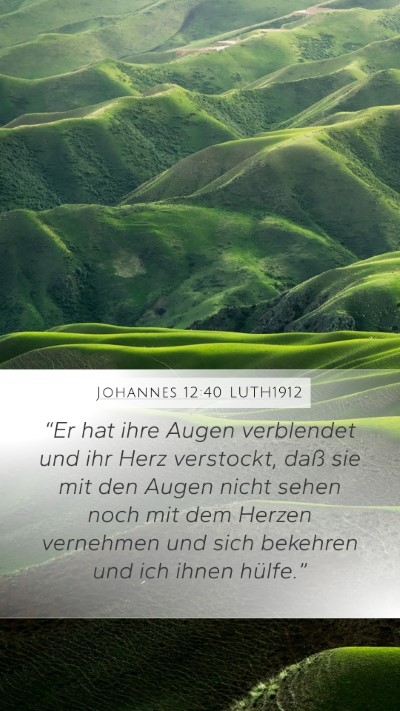 Johannes 12:40 LUTH1912 Bible Verse Image