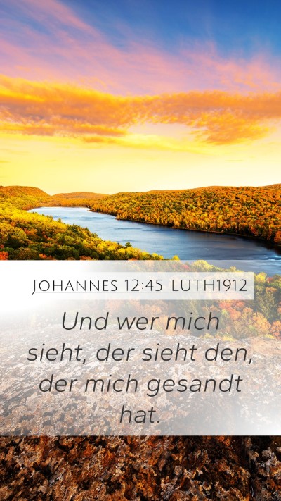 Johannes 12:45 LUTH1912 Bible Verse Image