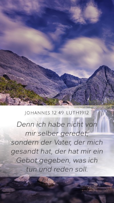 Johannes 12:49 LUTH1912 Bible Verse Image