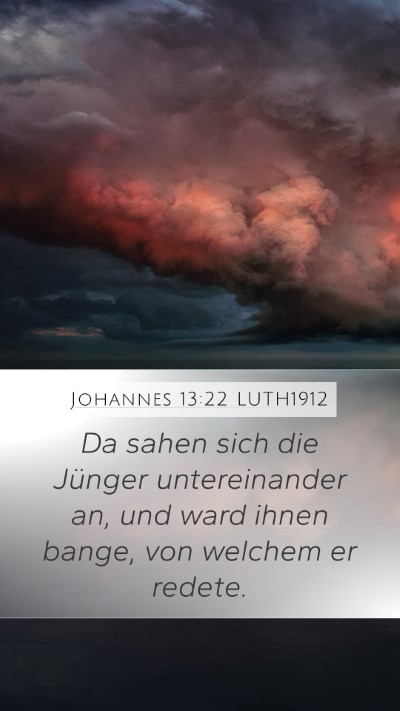 Johannes 13:22 LUTH1912 Bible Verse Image