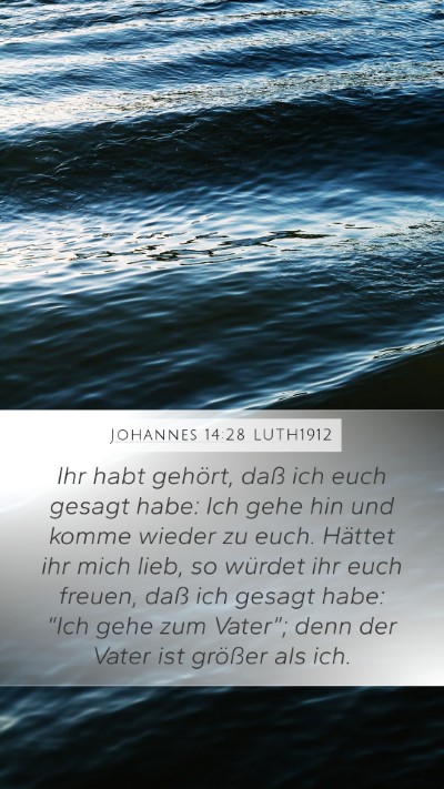 Johannes 14:28 LUTH1912 Bible Verse Image