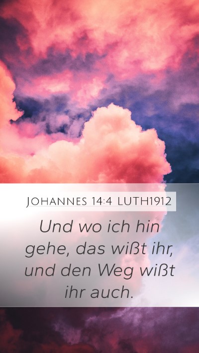 Johannes 14:4 LUTH1912 Bible Verse Image