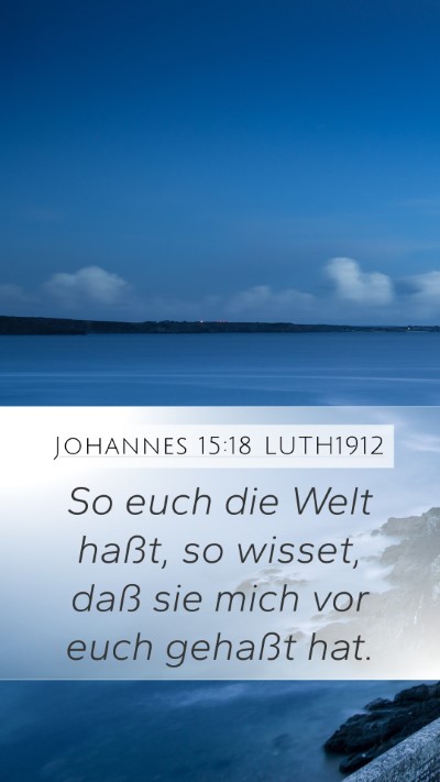 Johannes 15:18 LUTH1912 Bible Verse Image