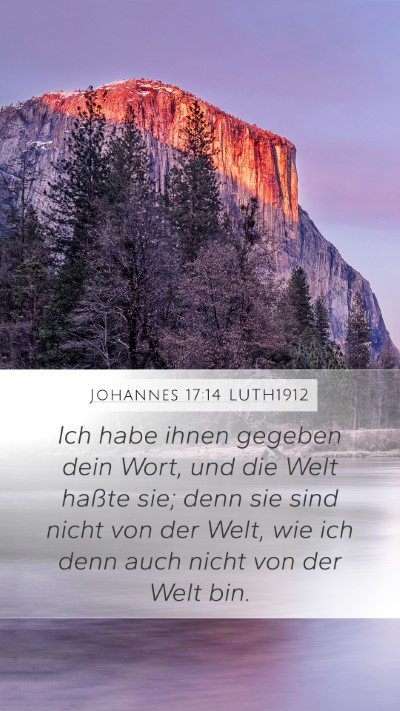 Johannes 17:14 LUTH1912 Bible Verse Image
