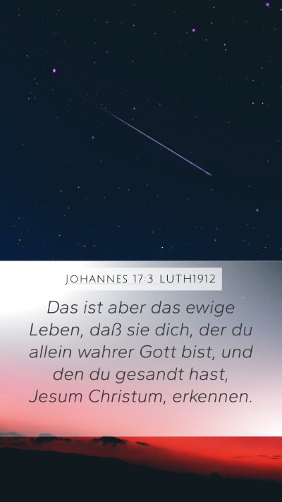 Johannes 17:3 LUTH1912 Bible Verse Image