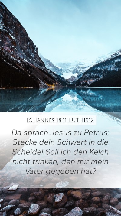 Johannes 18:11 LUTH1912 Bible Verse Image