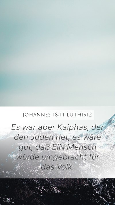 Johannes 18:14 LUTH1912 Bible Verse Image