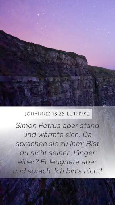 Johannes 18:25 LUTH1912 Bible Verse Image