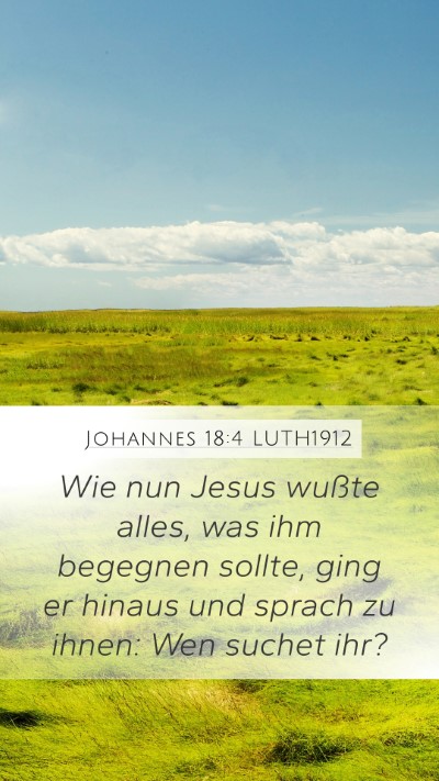 Johannes 18:4 LUTH1912 Bible Verse Image