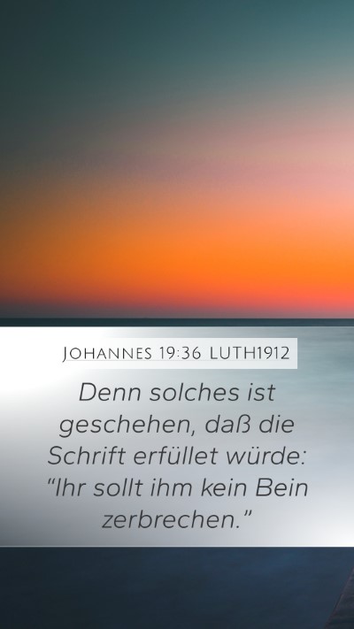 Johannes 19:36 LUTH1912 Bible Verse Image