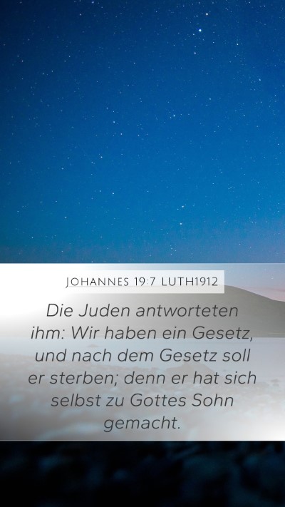 Johannes 19:7 LUTH1912 Bible Verse Image