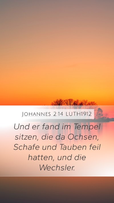 Johannes 2:14 LUTH1912 Bible Verse Image