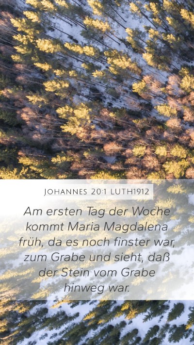 Johannes 20:1 LUTH1912 Bible Verse Image