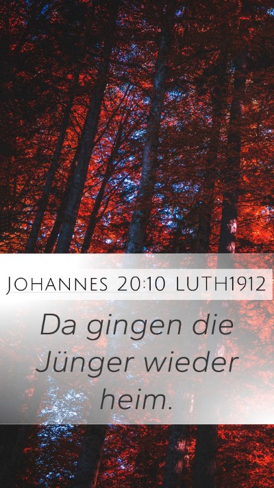 Johannes 20:10 LUTH1912 Mobile Phone Wallpaper - Da gingen die Jünger wieder - Mobile Bible Verse Wallpaper