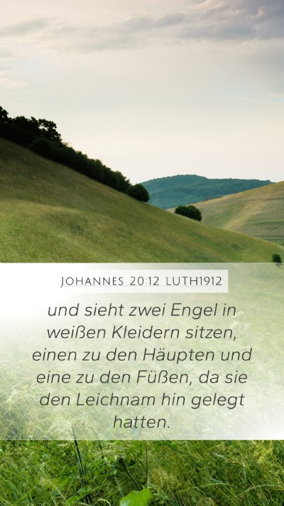 Johannes 20:12 LUTH1912 Bible Verse Image