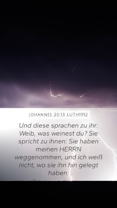 Johannes 20:13 LUTH1912 Bible Verse Image