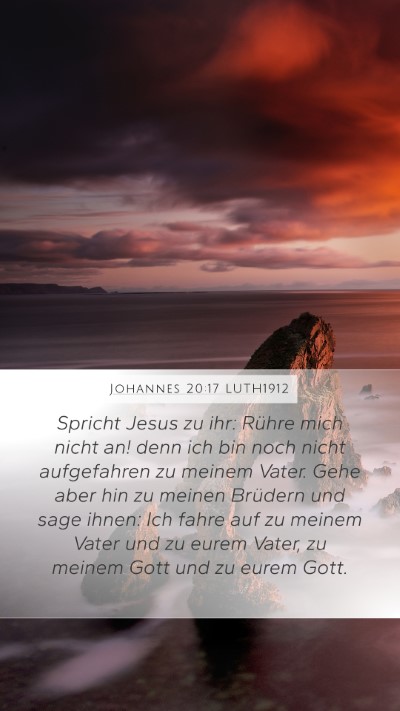 Johannes 20:17 LUTH1912 Bible Verse Image