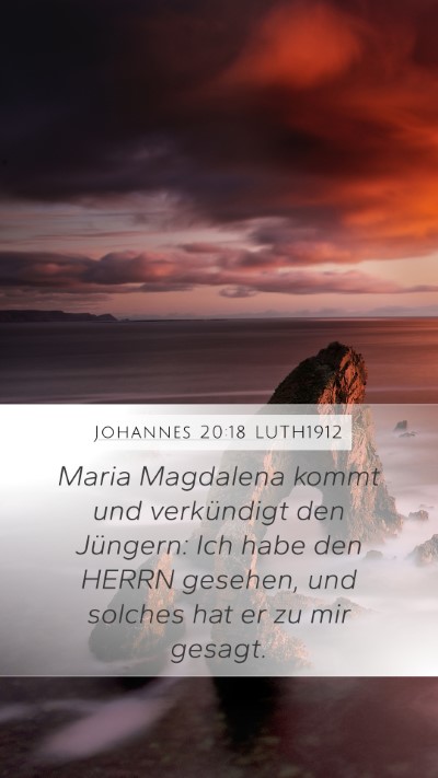 Johannes 20:18 LUTH1912 Bible Verse Image