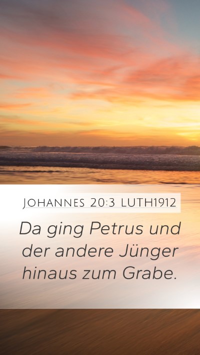 Johannes 20:3 LUTH1912 Mobile Phone Wallpaper - Da ging Petrus und der andere Jünger hinaus zum - Mobile Bible Verse Wallpaper