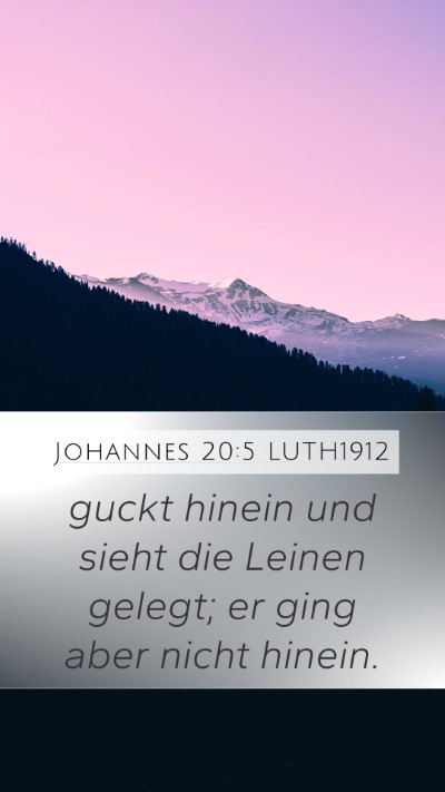 Johannes 20:5 LUTH1912 Mobile Phone Wallpaper - guckt hinein und sieht die Leinen gelegt; er ging - Mobile Bible Verse Wallpaper