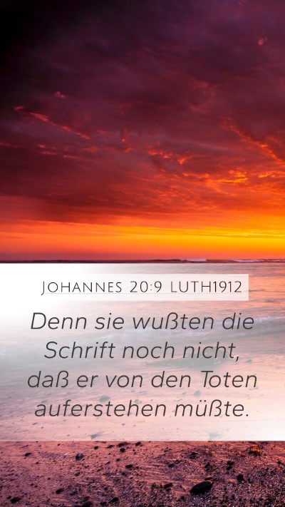 Johannes 20:9 LUTH1912 Bible Verse Image