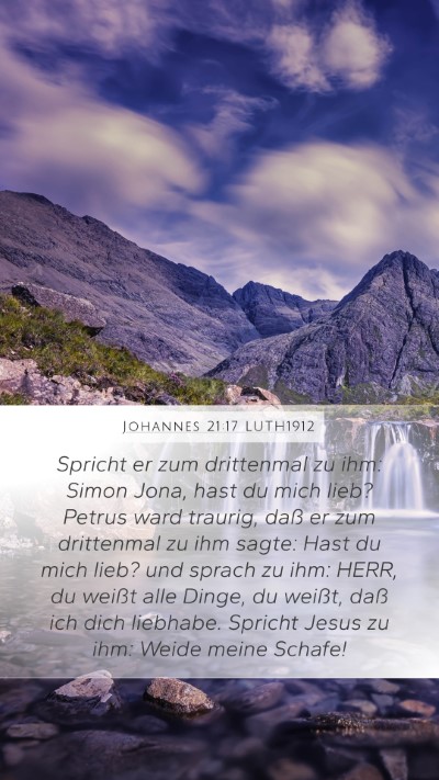 Johannes 21:17 LUTH1912 Bible Verse Image