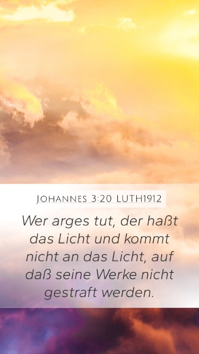 Johannes 3:20 LUTH1912 Bible Verse Image