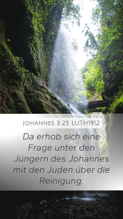 Johannes 3:25 LUTH1912 Bible Verse Image