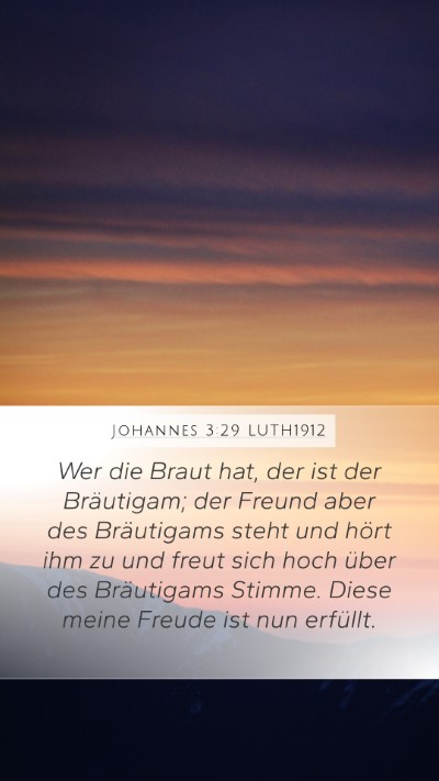 Johannes 3:29 LUTH1912 Bible Verse Image
