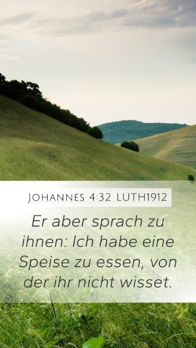 Johannes 4:32 LUTH1912 Bible Verse Image