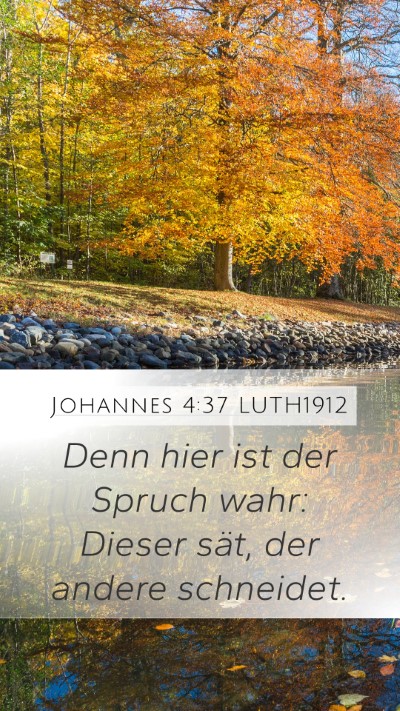 Johannes 4:37 LUTH1912 Mobile Phone Wallpaper - Denn hier ist der Spruch wahr: Dieser sät, der - Mobile Bible Verse Wallpaper