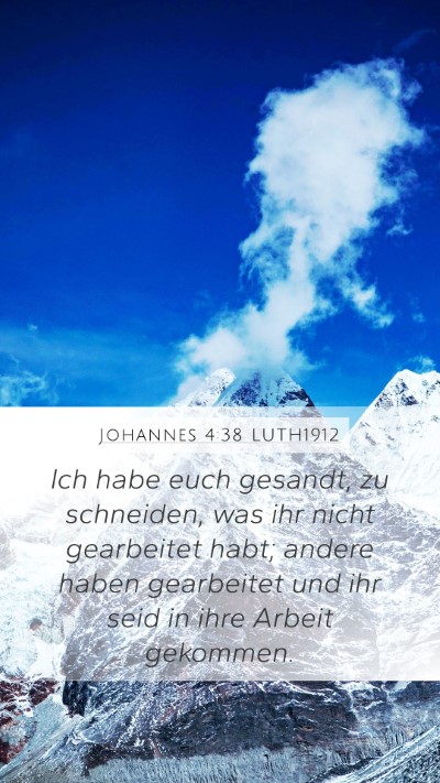 Johannes 4:38 LUTH1912 Bible Verse Image