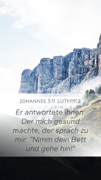 Johannes 5:11 LUTH1912 Bible Verse Image