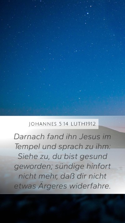 Johannes 5:14 LUTH1912 Bible Verse Image