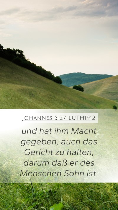 Johannes 5:27 LUTH1912 Bible Verse Image