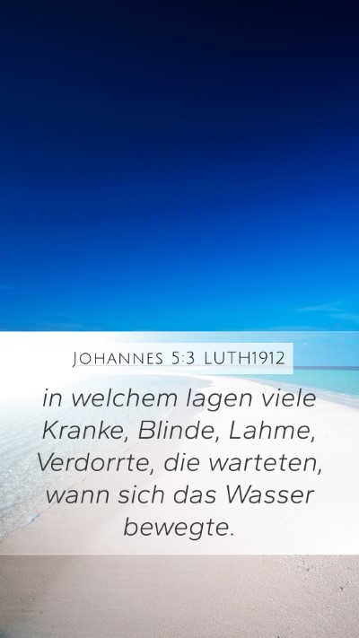 Johannes 5:3 LUTH1912 Bible Verse Image