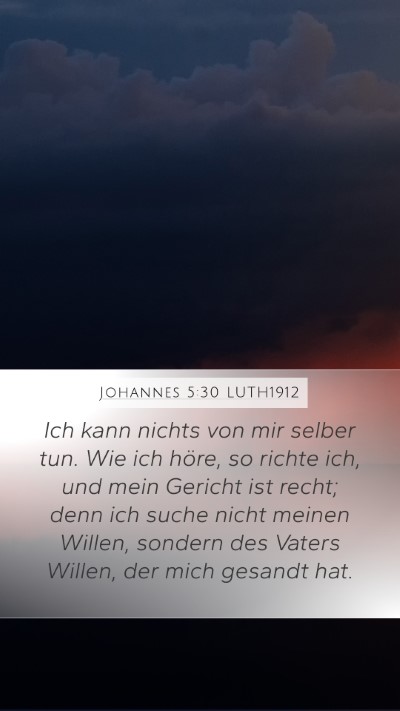 Johannes 5:30 LUTH1912 Bible Verse Image