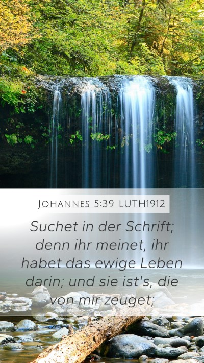 Johannes 5:39 LUTH1912 Bible Verse Image