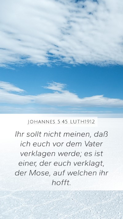 Johannes 5:45 LUTH1912 Bible Verse Image