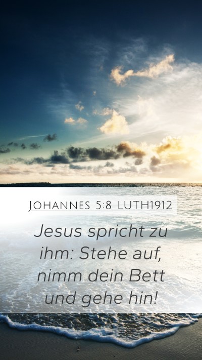 Johannes 5:8 LUTH1912 Bible Verse Image