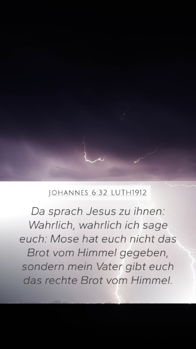 Johannes 6:32 LUTH1912 Bible Verse Image