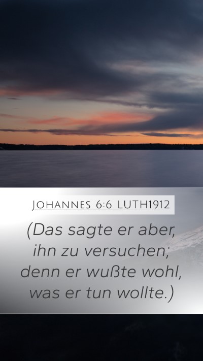 Johannes 6:6 LUTH1912 Mobile Phone Wallpaper - (Das sagte er aber, ihn zu versuchen; denn er - Mobile Bible Verse Wallpaper
