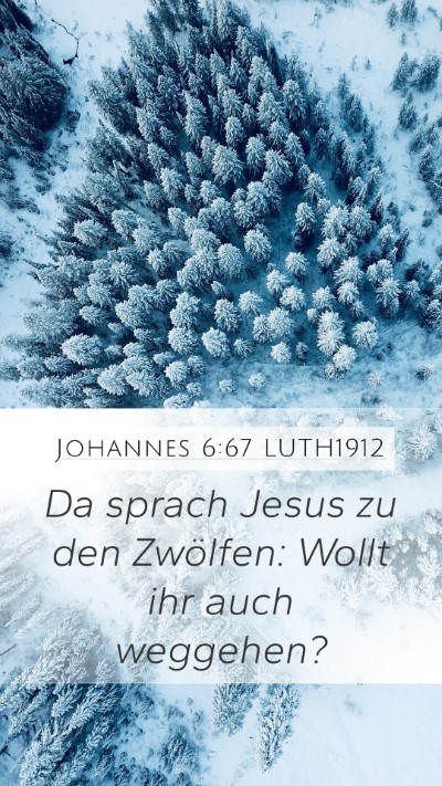 Johannes 6:67 LUTH1912 Bible Verse Image
