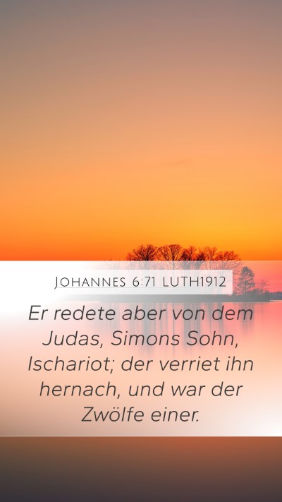 Johannes 6:71 LUTH1912 Bible Verse Image