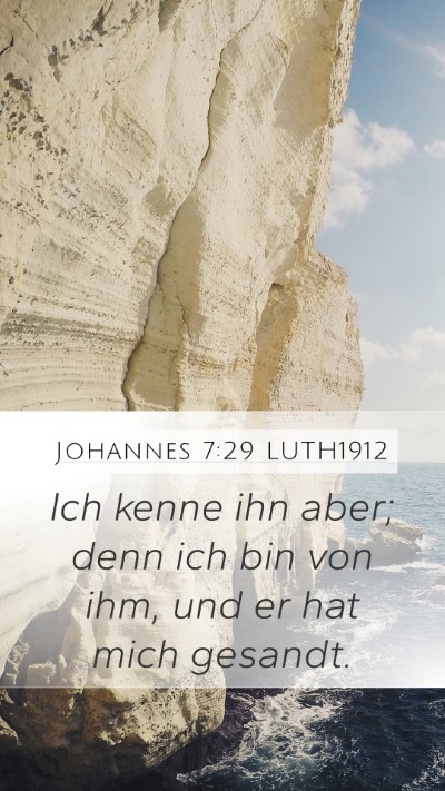 Johannes 7:29 LUTH1912 Bible Verse Image