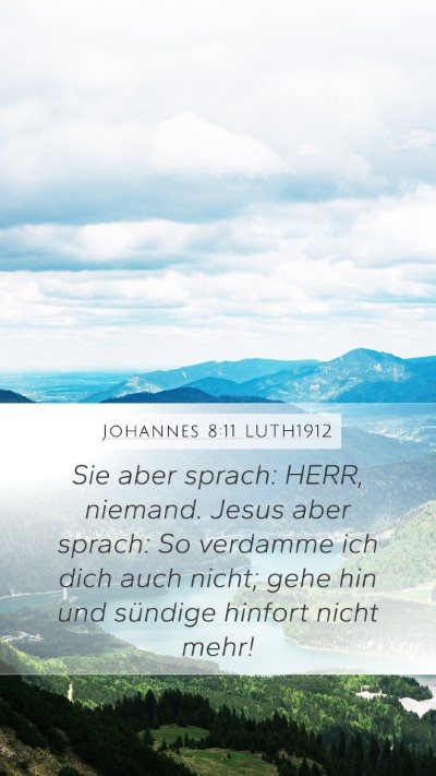 Johannes 8:11 LUTH1912 Bible Verse Image