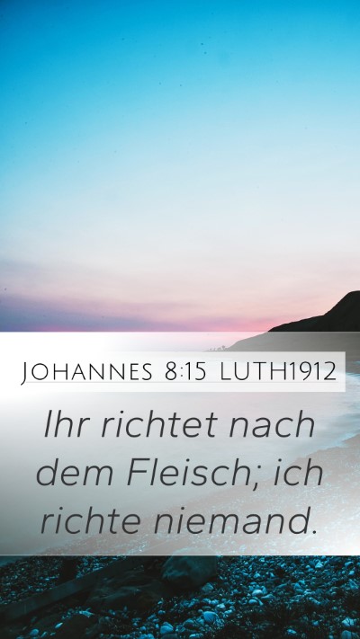 Johannes 8:15 LUTH1912 Bible Verse Image